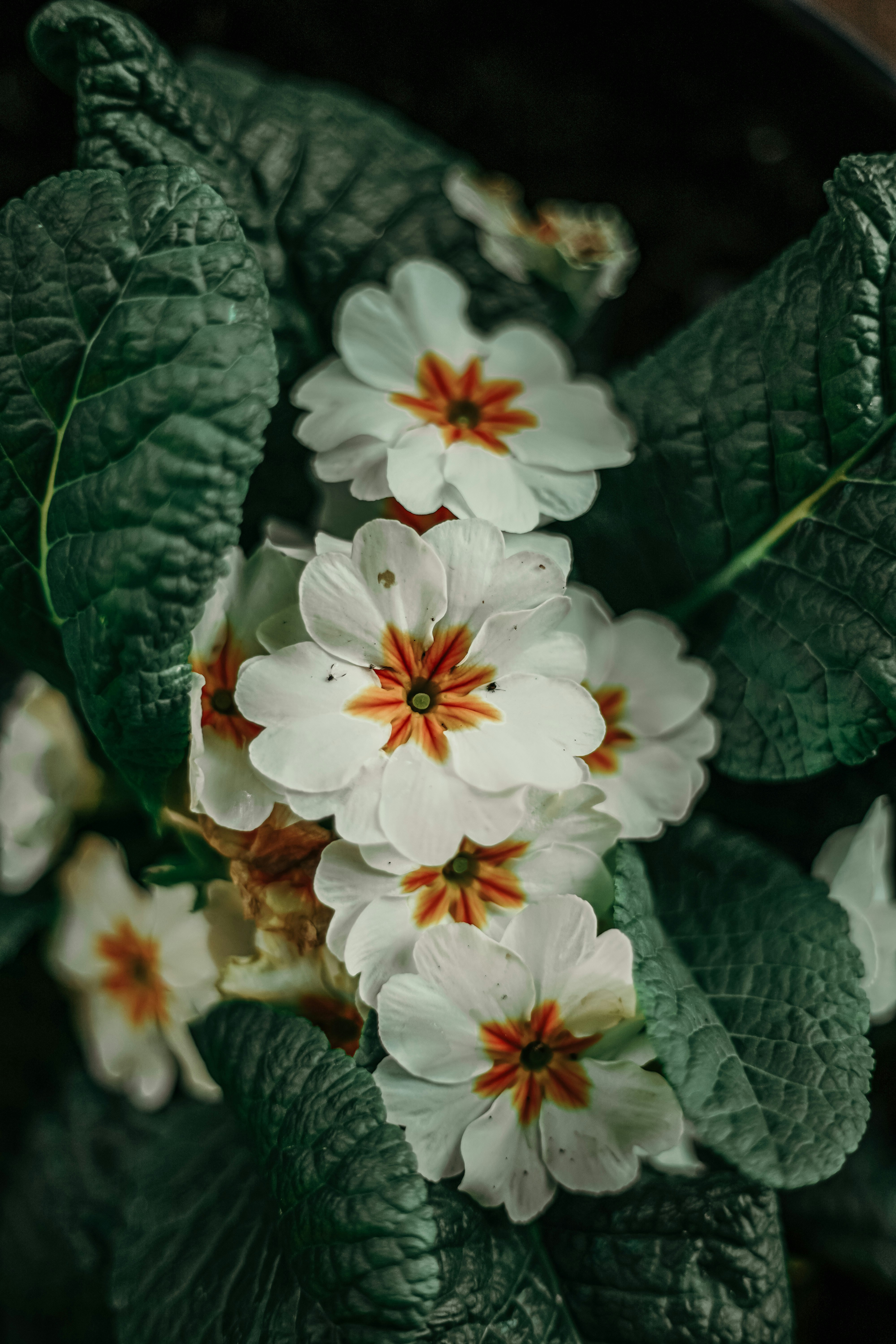 Photo by janu_bekker