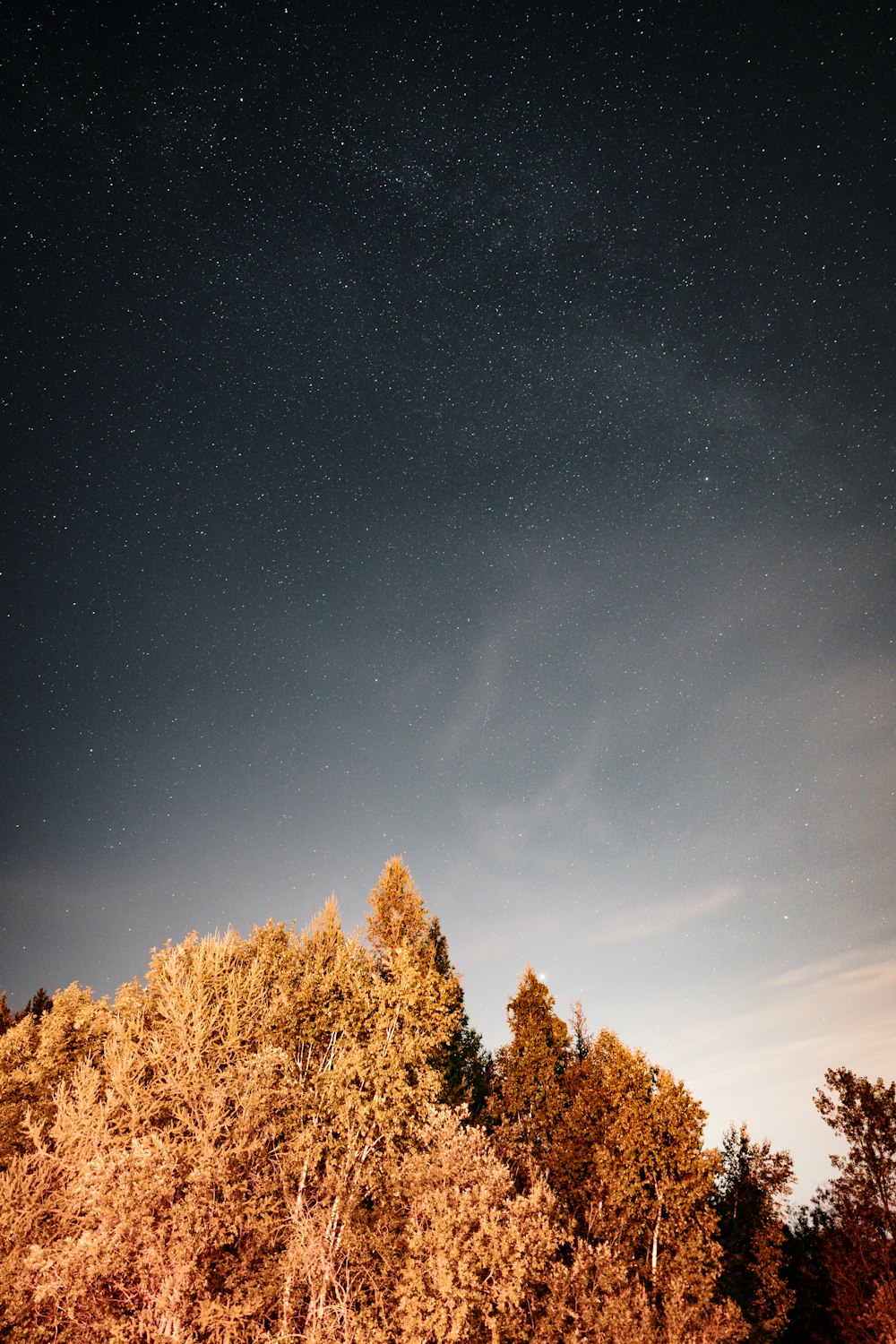 Un ciel étoilé photo – Photo La nature Gratuite sur Unsplash