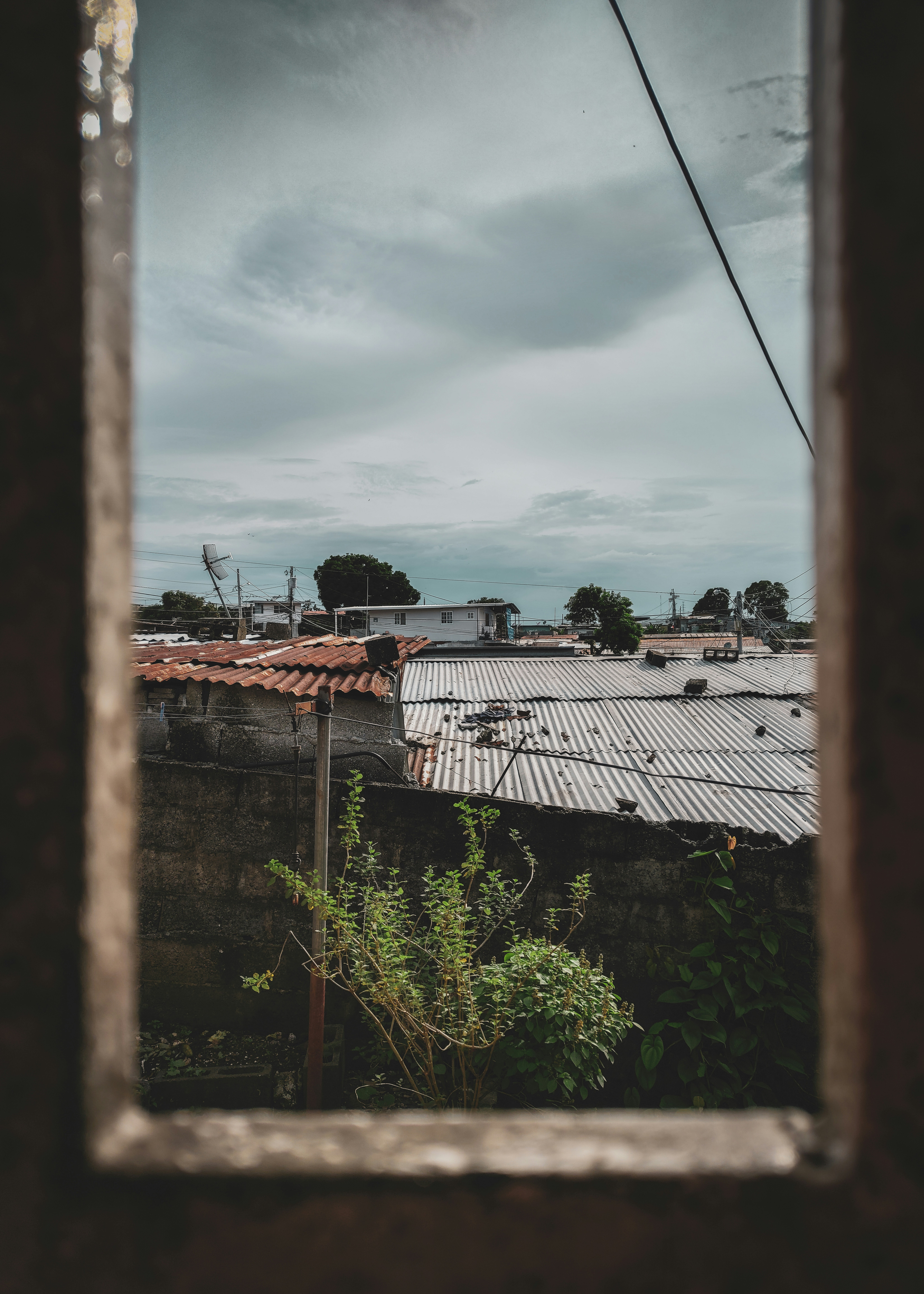 Photo by histograma_