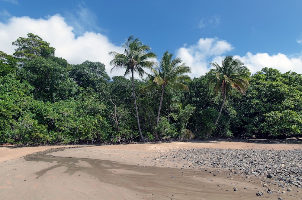Una playa de arena rodeada de árboles y rocas
