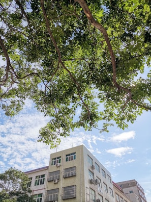 Front view of the 125 Cherry Ave LB, LLC building on a sunny day.