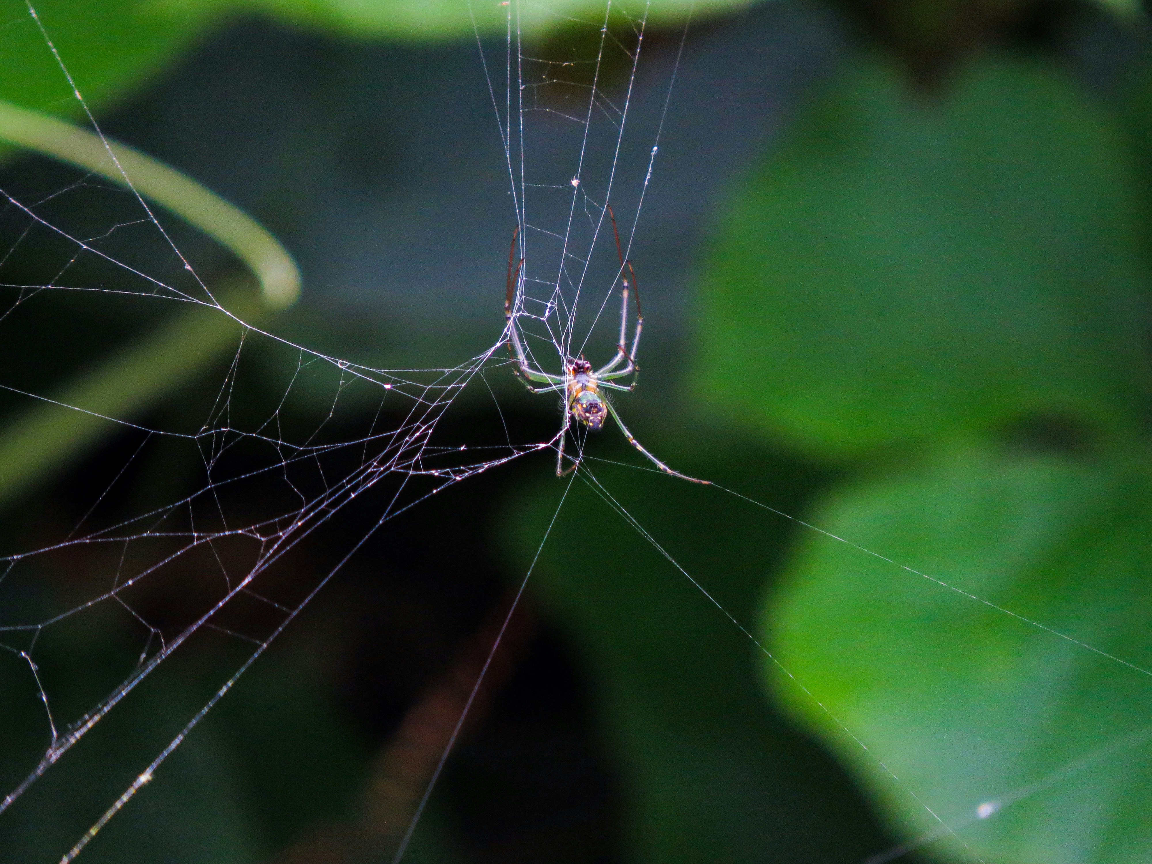 Photo by anandramavath_786