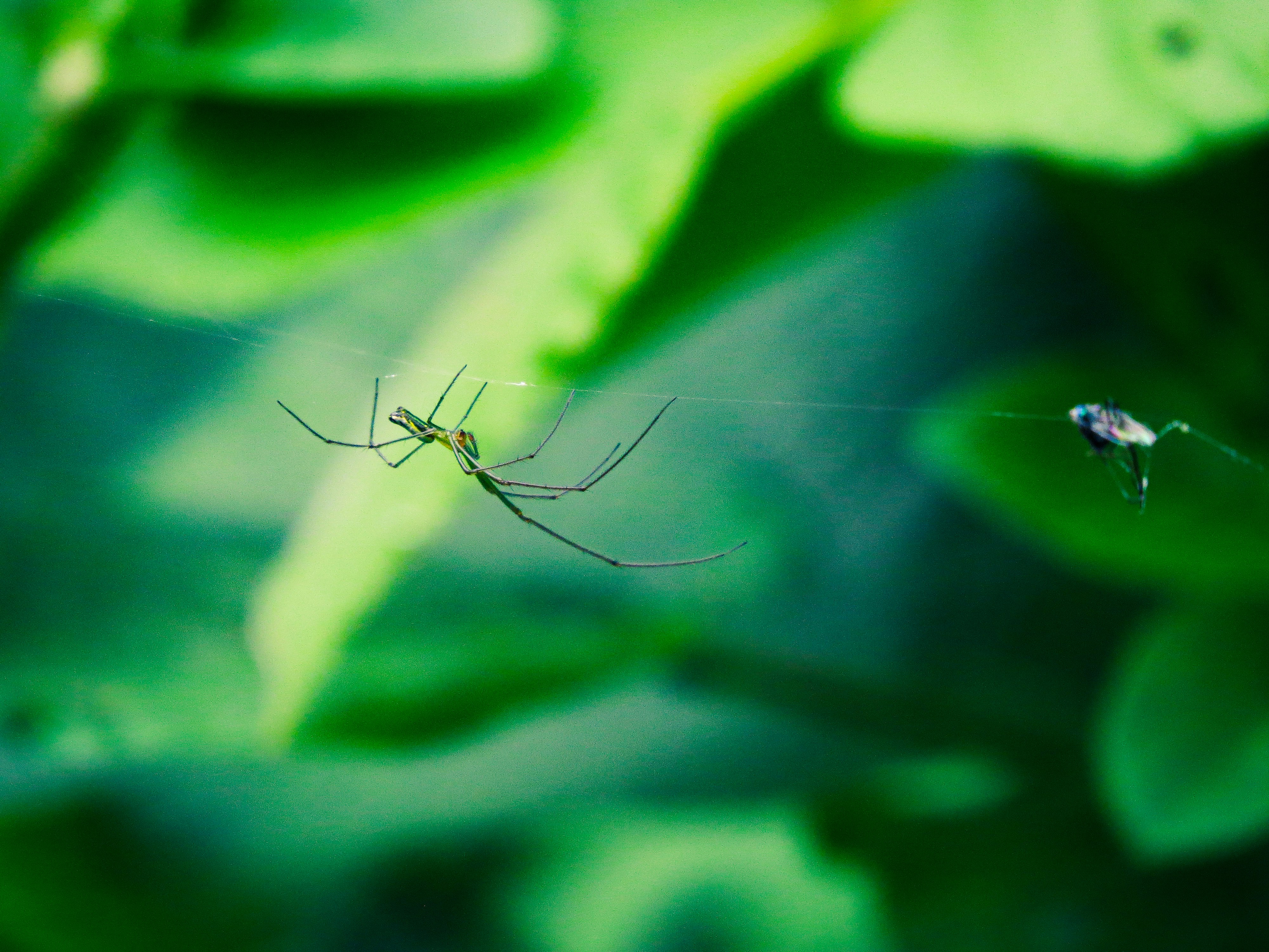 Photo by anandramavath_786