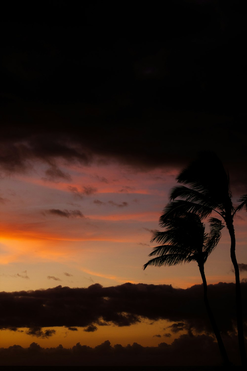 a couple of palm trees sitting under a cloudy sky