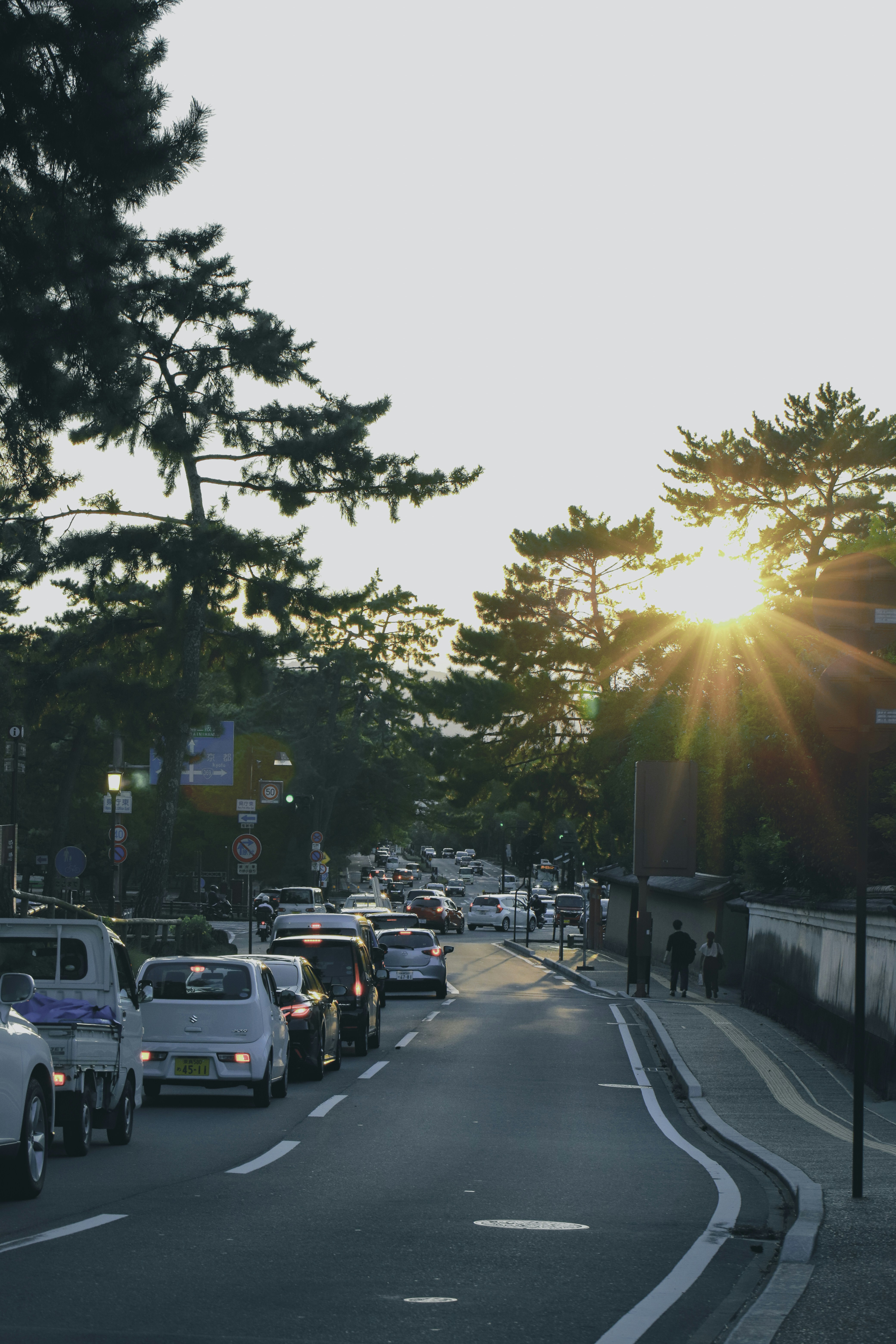 Photo by duongtrungthinh