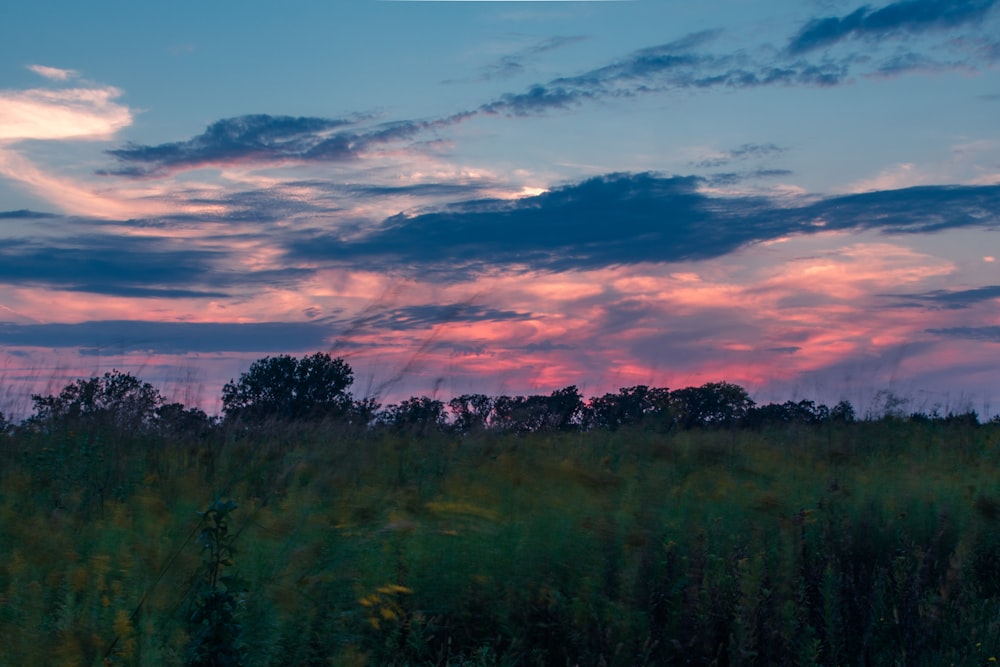 the sun is setting over a field of tall grass