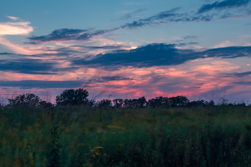 Iowa landscape