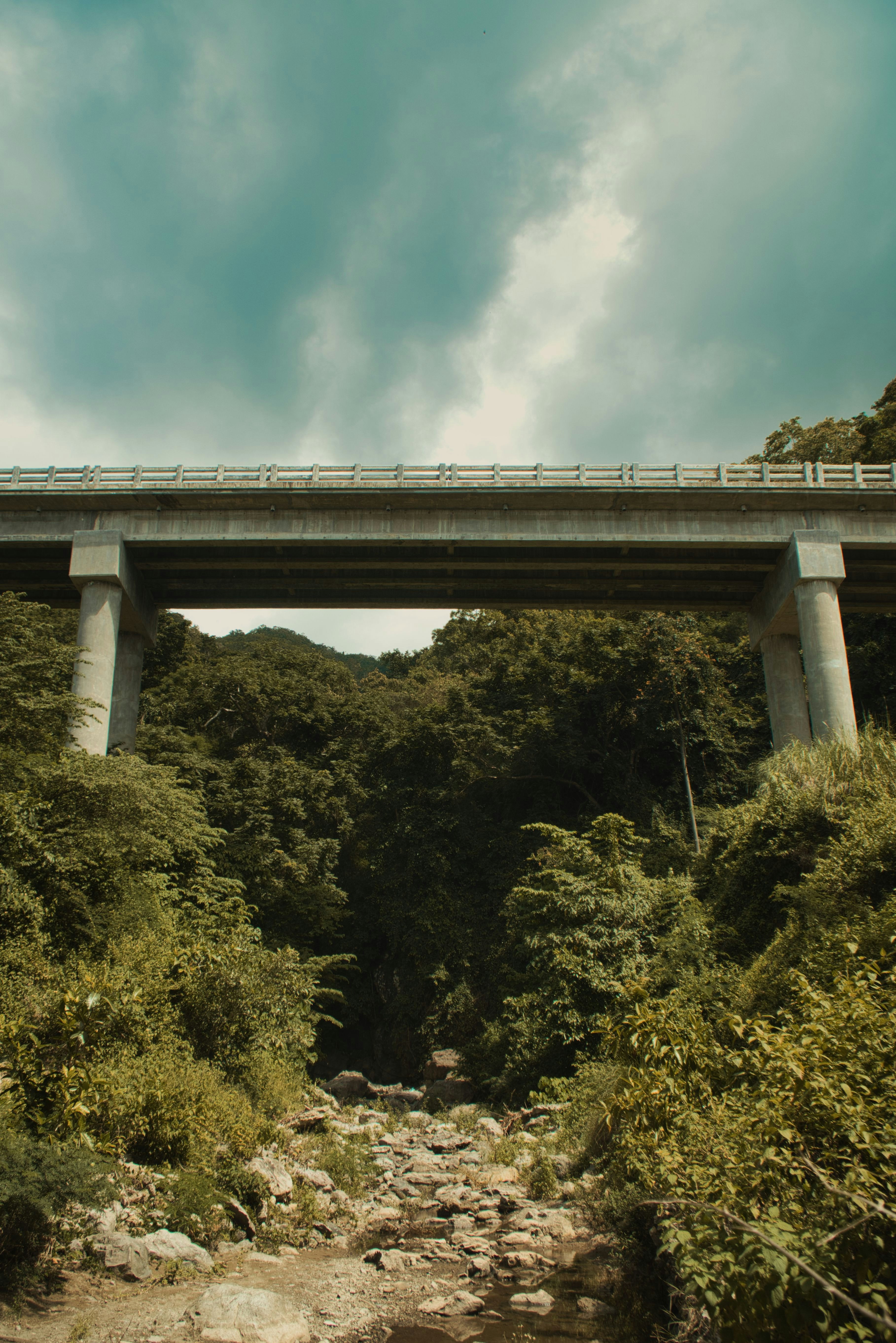 jembatan di atas sungai yang dikelilingi oleh pepohonan