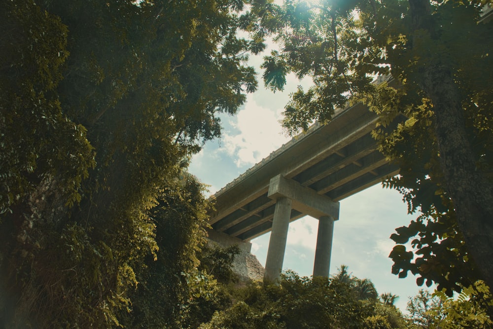 a view of a bridge through some trees