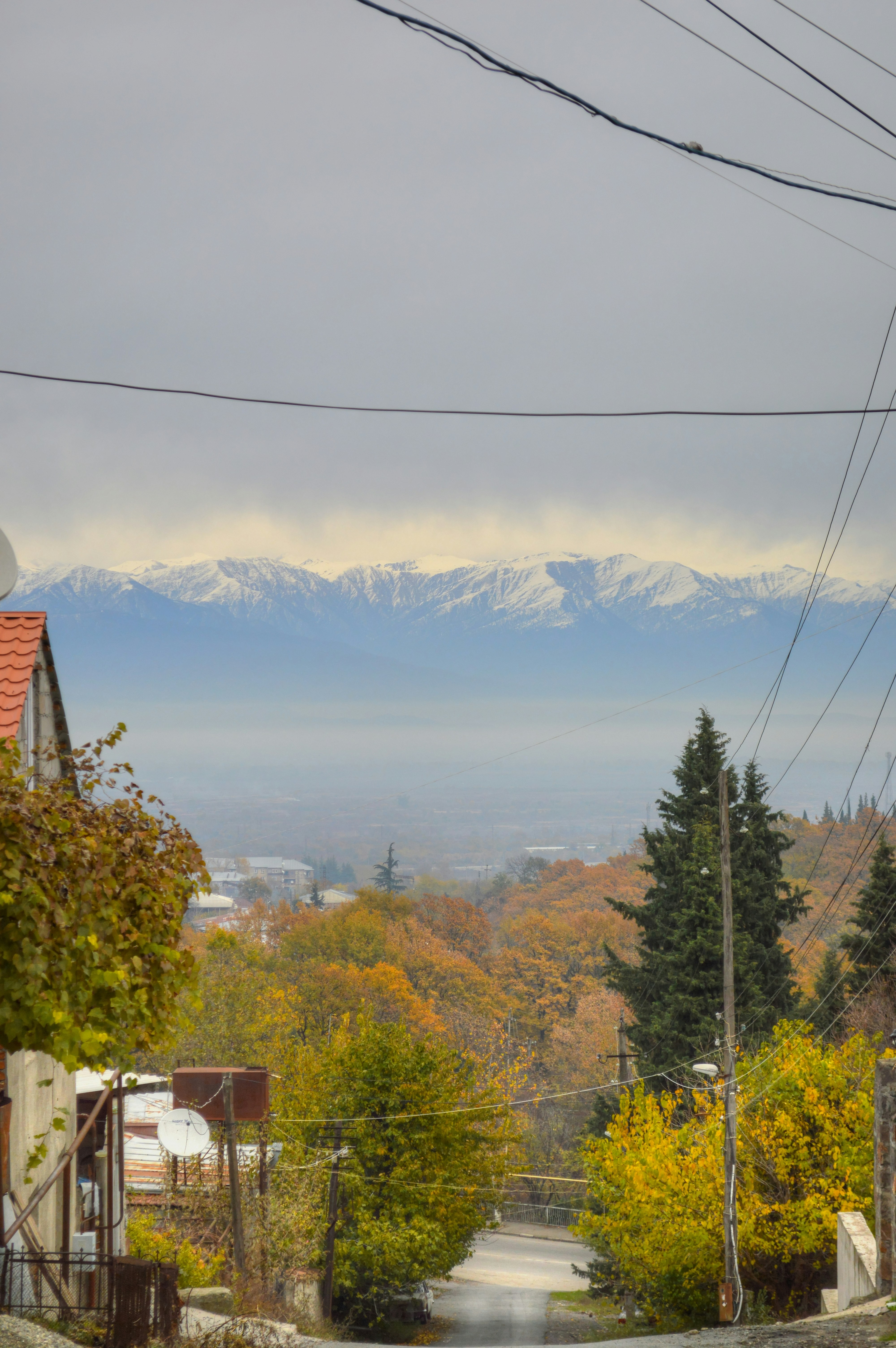 Seasonal Rhythms: When to Experience Kakheti's Best