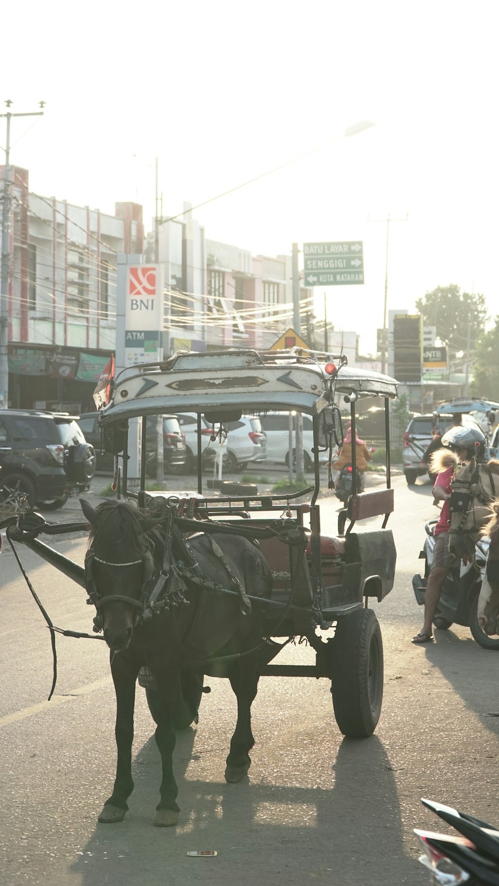 a horse pulling a buggy down a city street