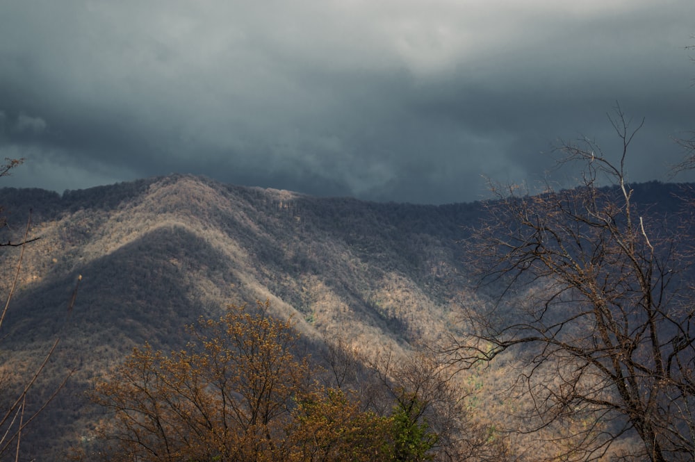 a view of a mountain range with trees in the foreground