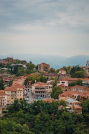 a view of a city from a hill