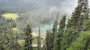 a view of a lake surrounded by trees
