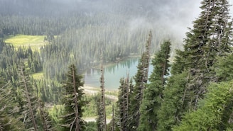 a view of a lake surrounded by trees