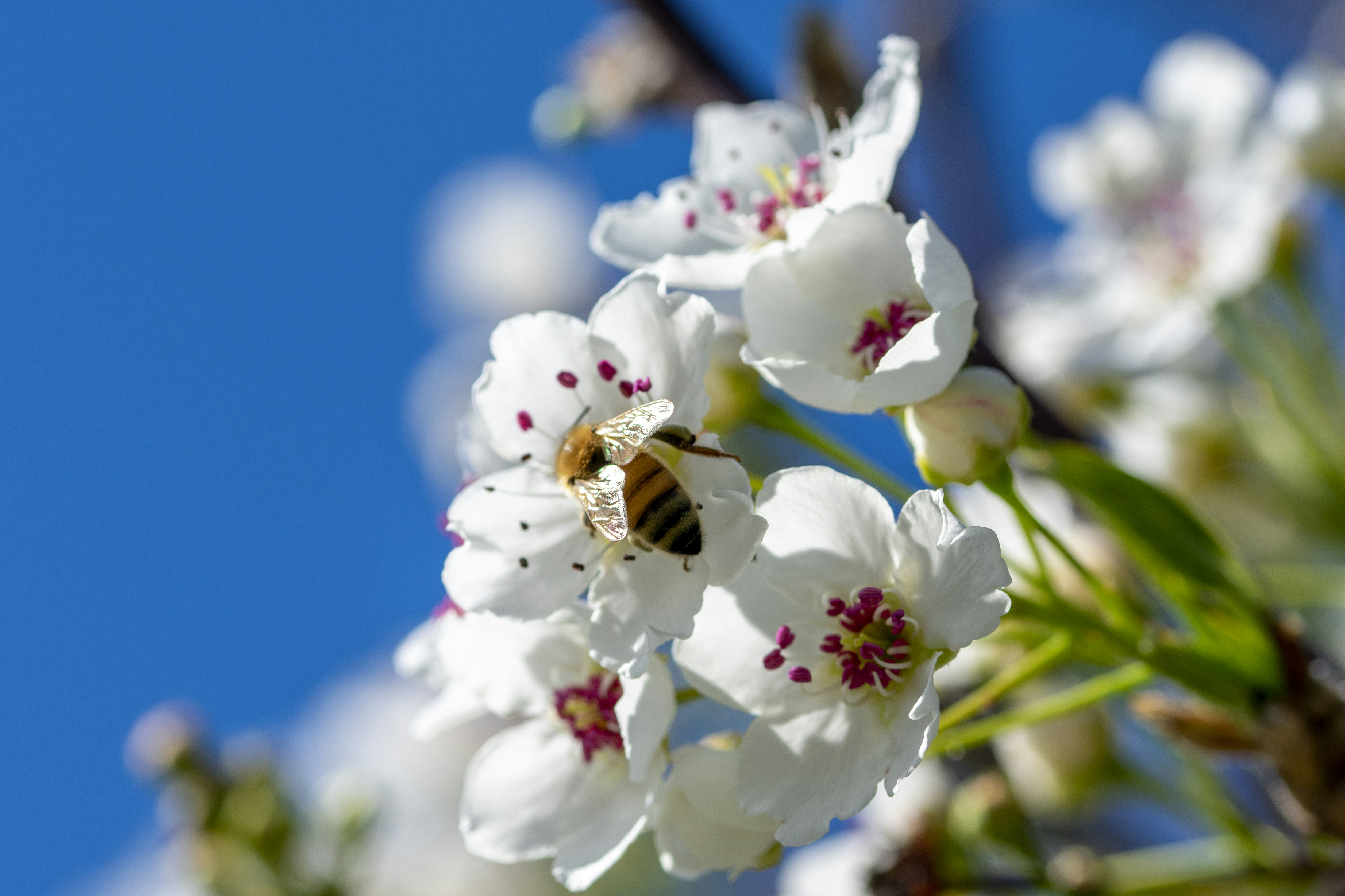 Photo by ellephant_photography