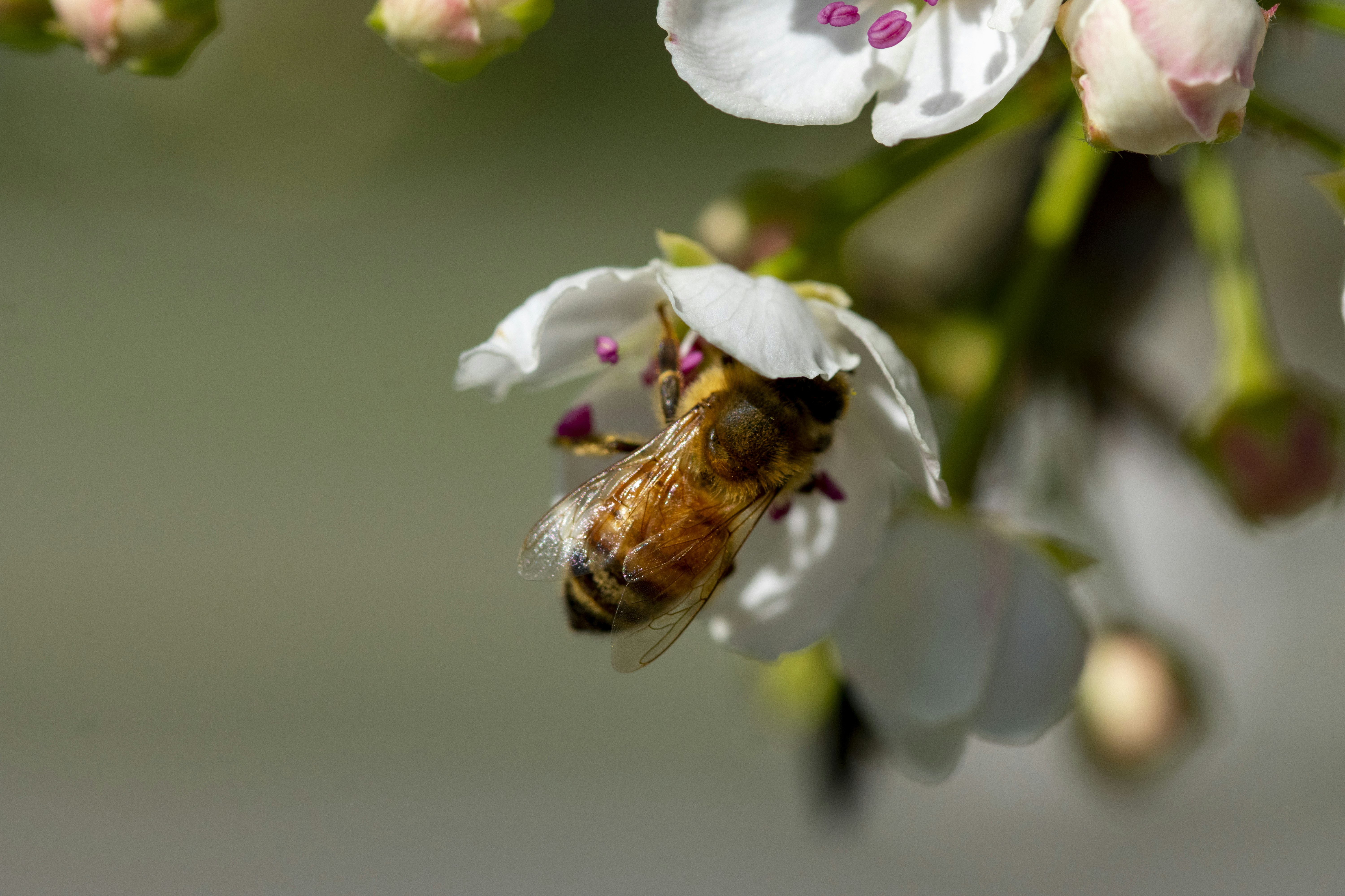 Photo by ellephant_photography