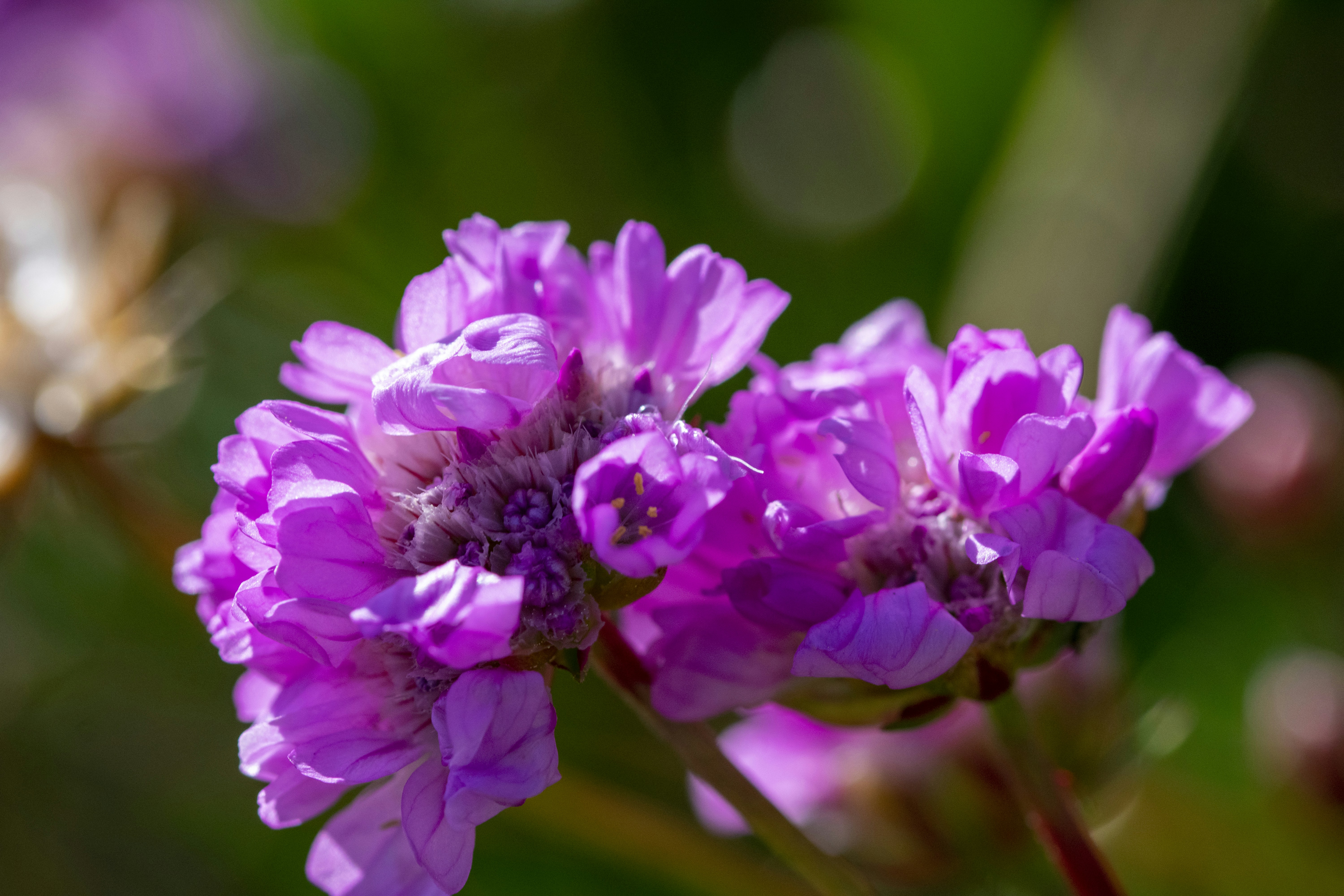 Photo by ellephant_photography