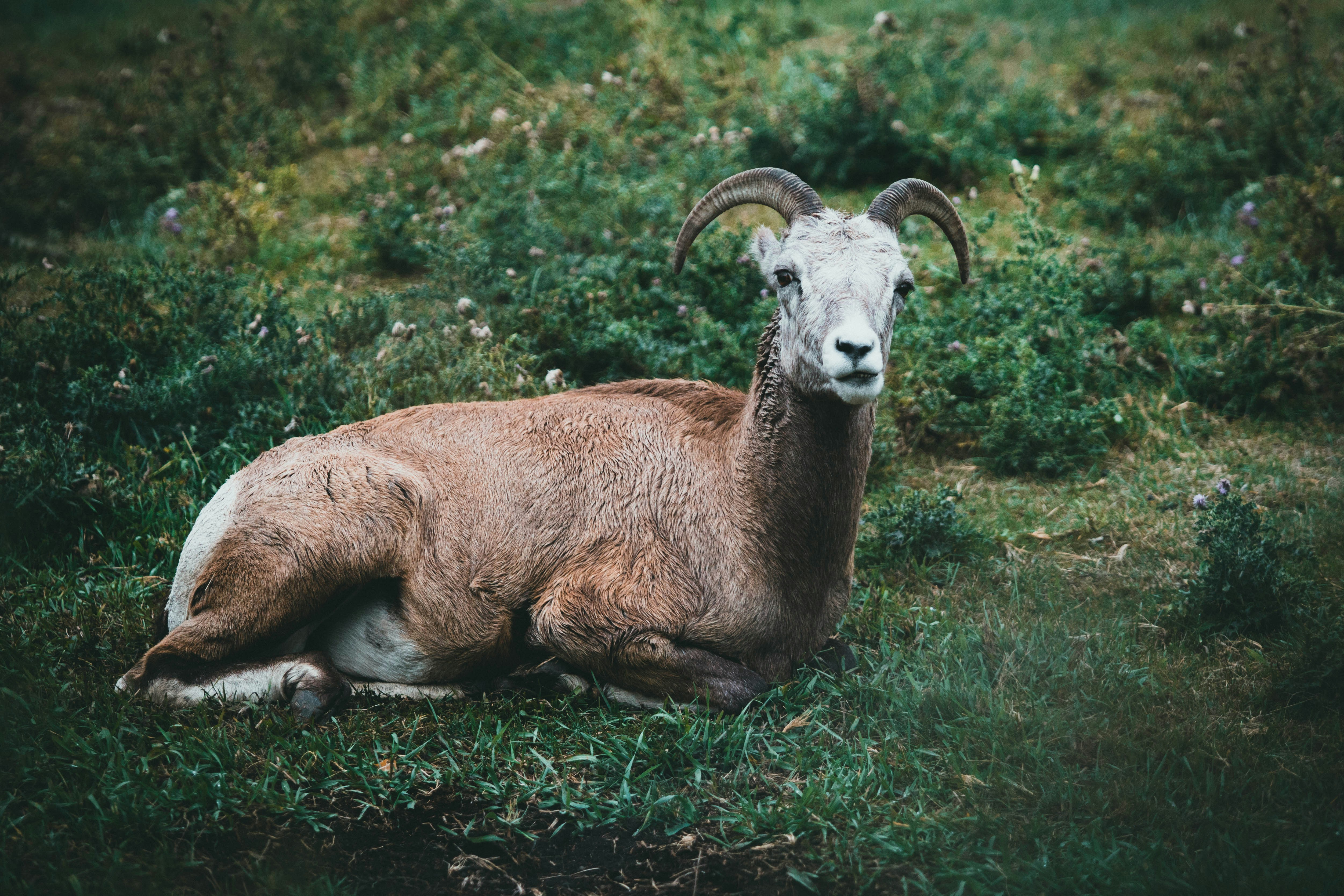 Photo by theshuttervision