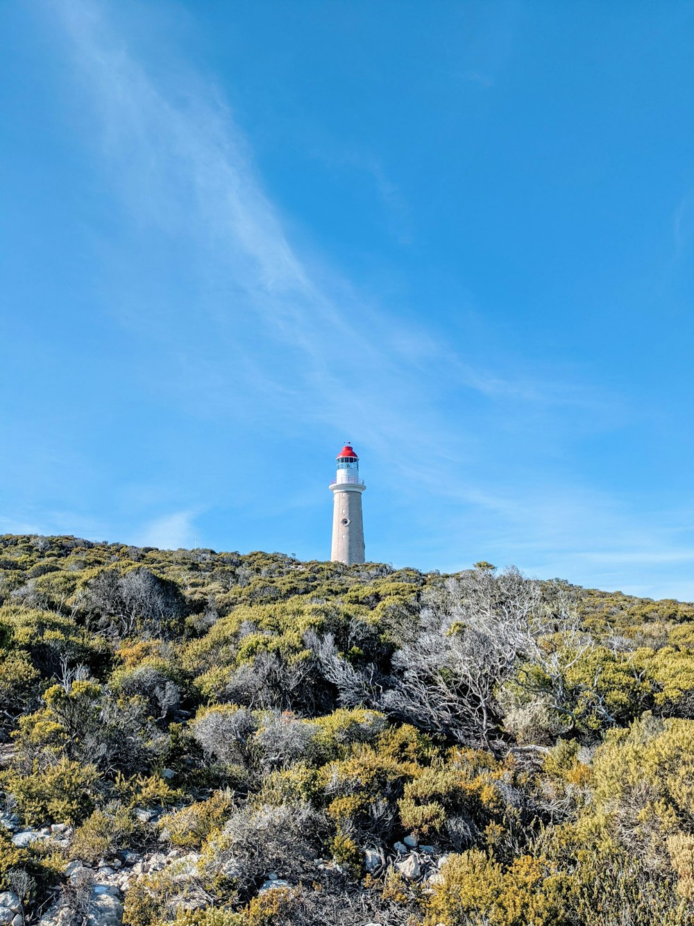 a white and red lighthouse on top of a hill