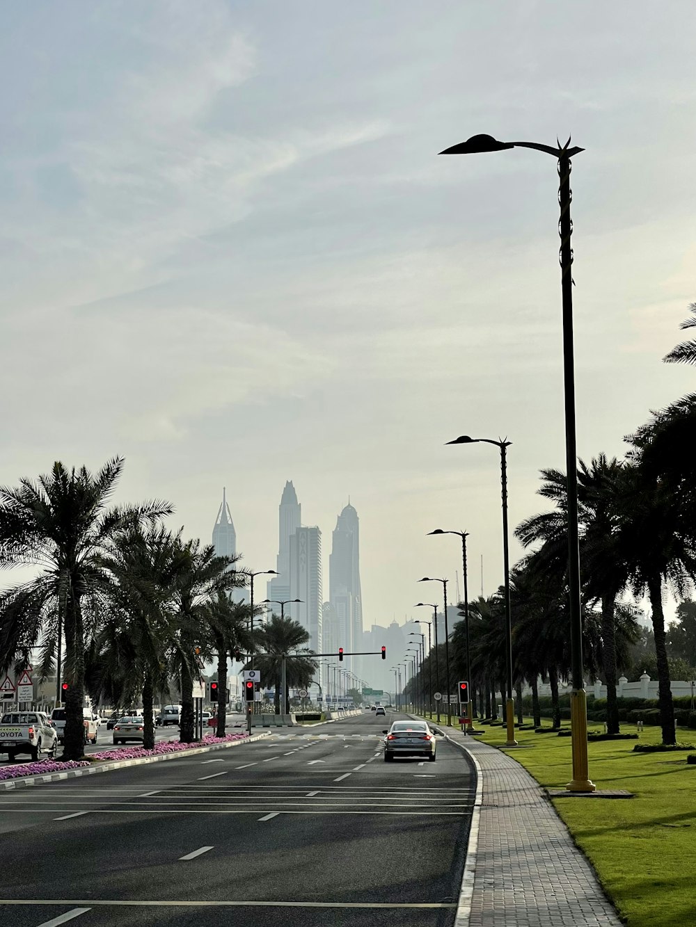 a city street with palm trees and tall buildings