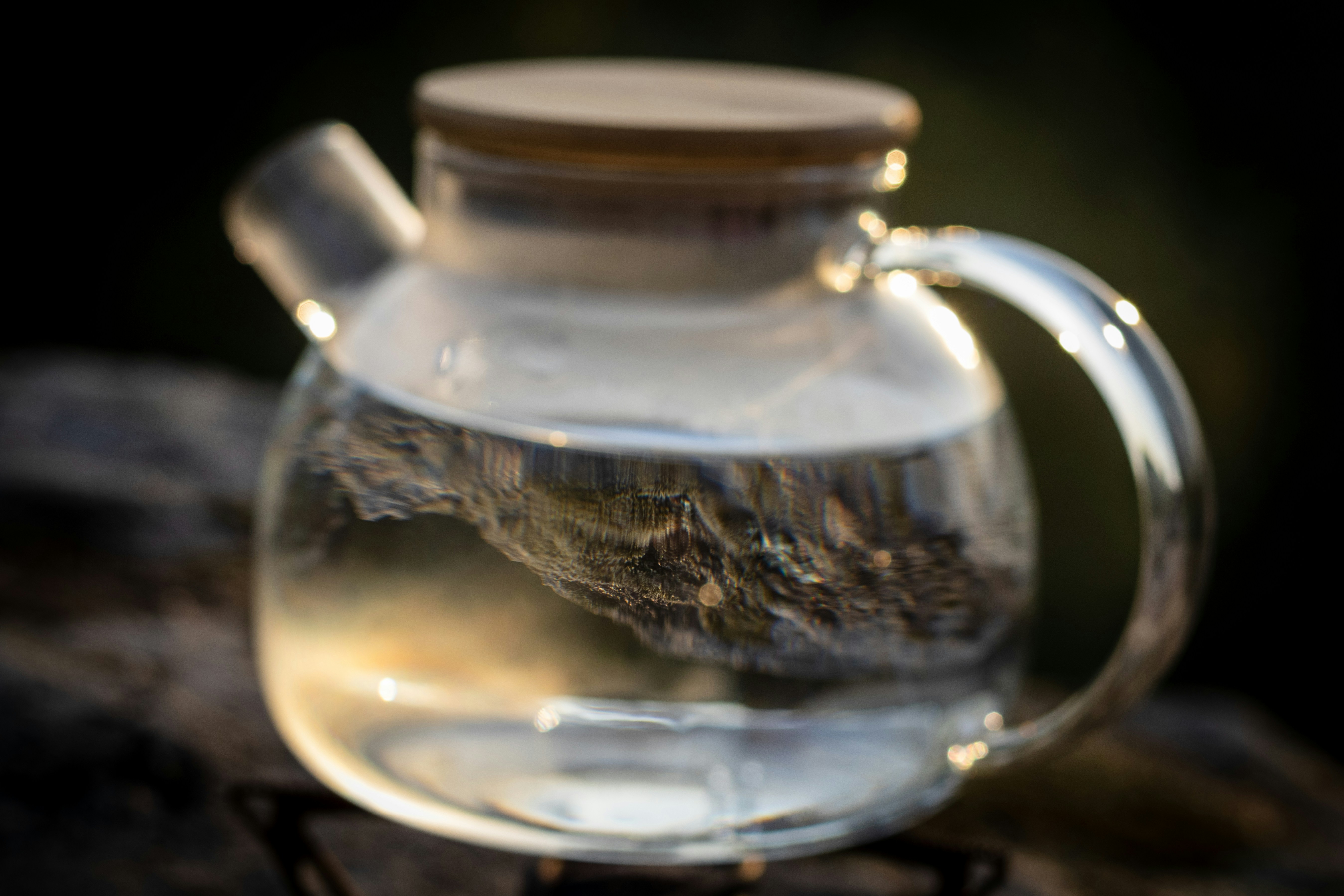 a glass teapot with a bird inside of it