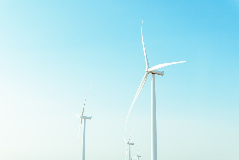 a row of wind turbines in a field