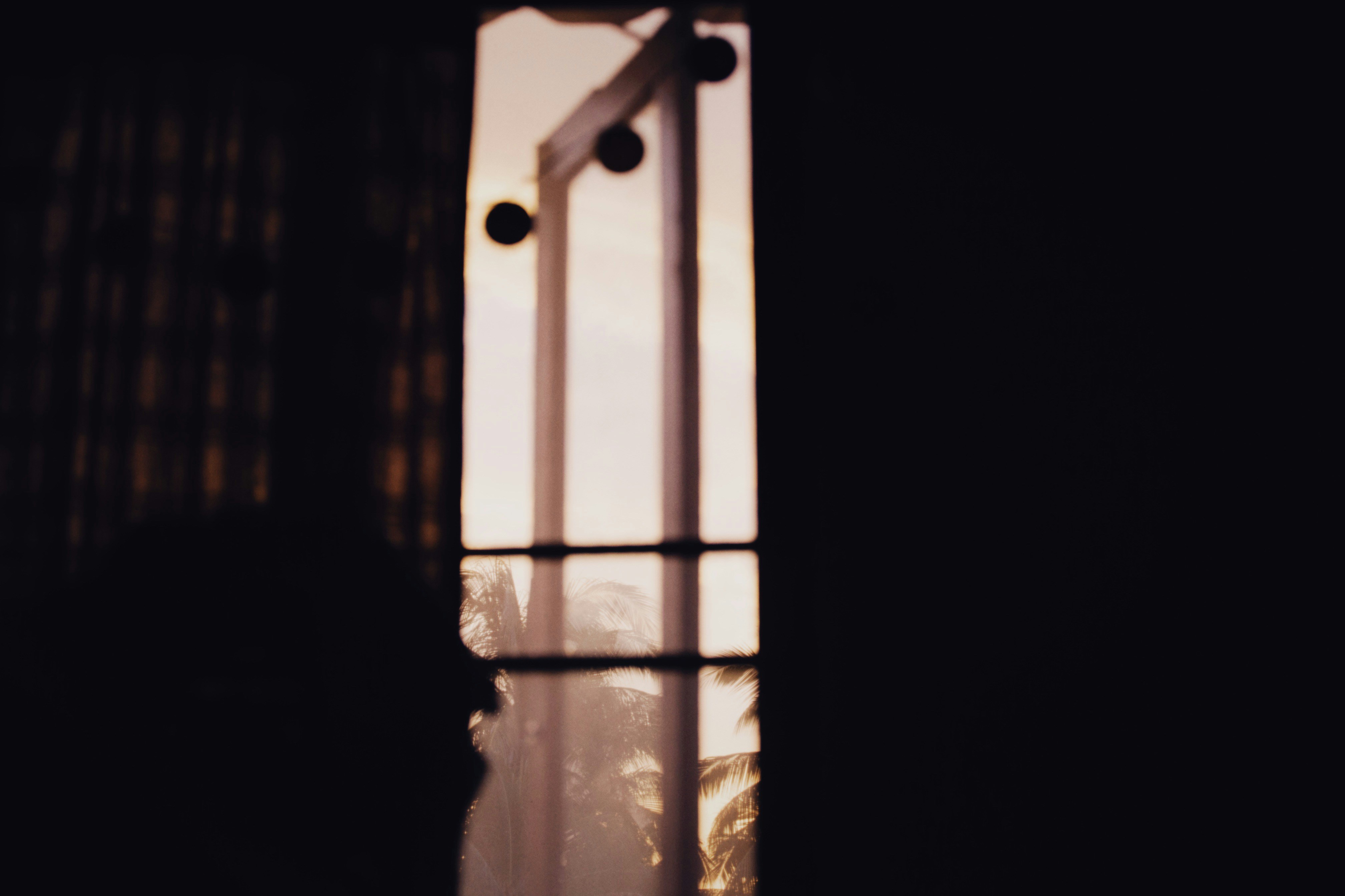 Photo by alexeydemidov