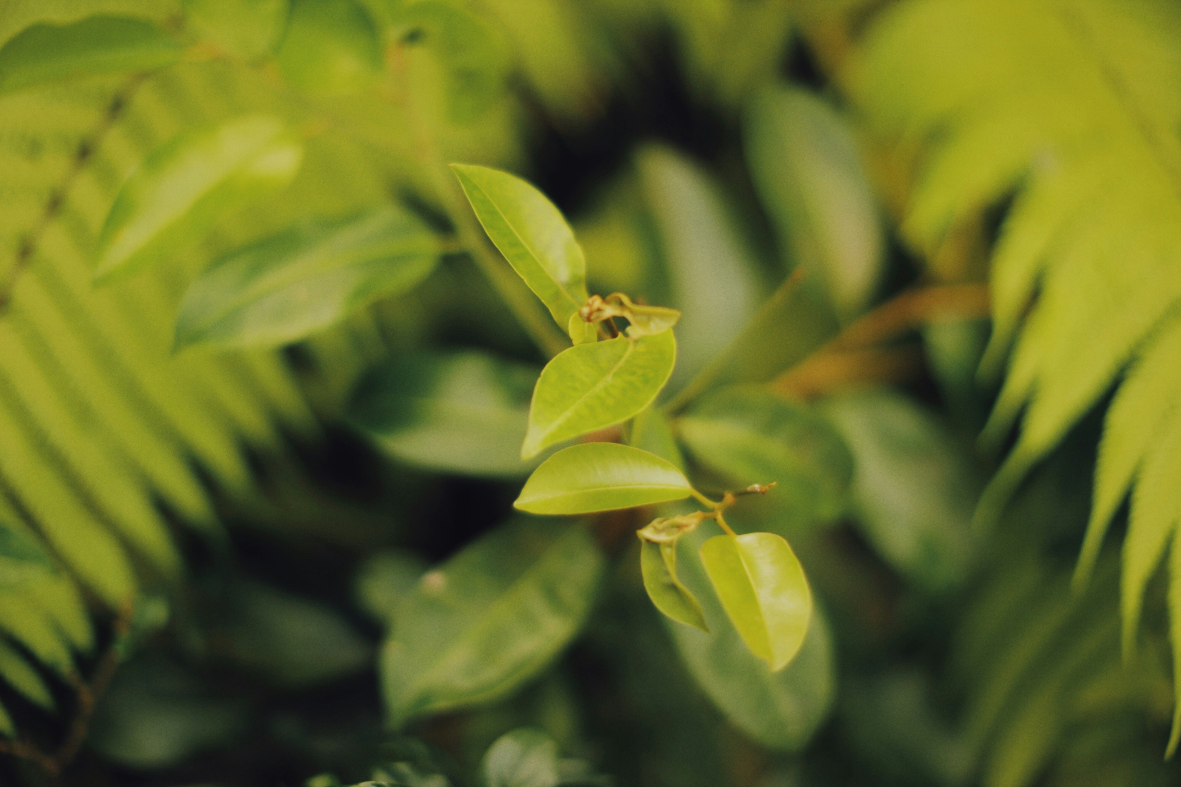 Photo by alexeydemidov