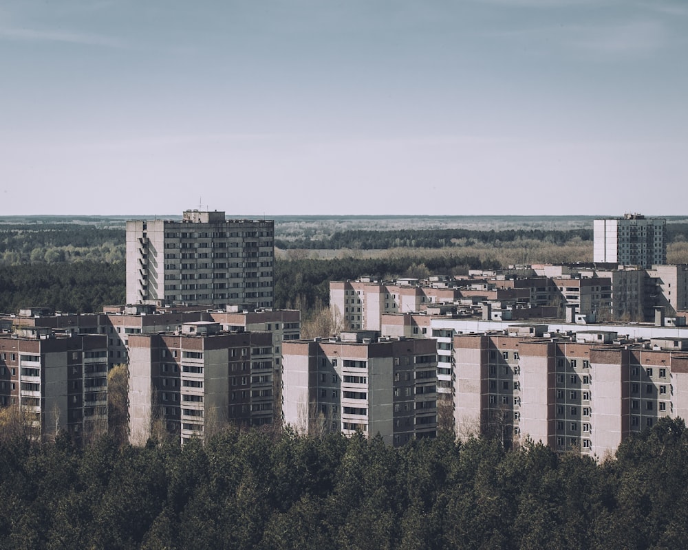 a city with tall buildings and trees in the foreground