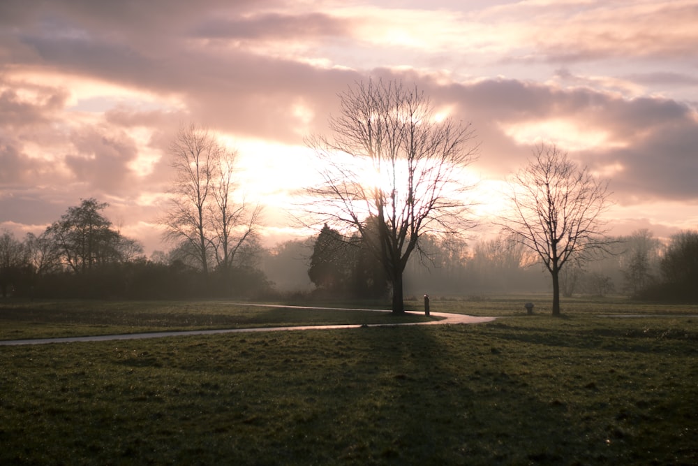 the sun is setting over a grassy field