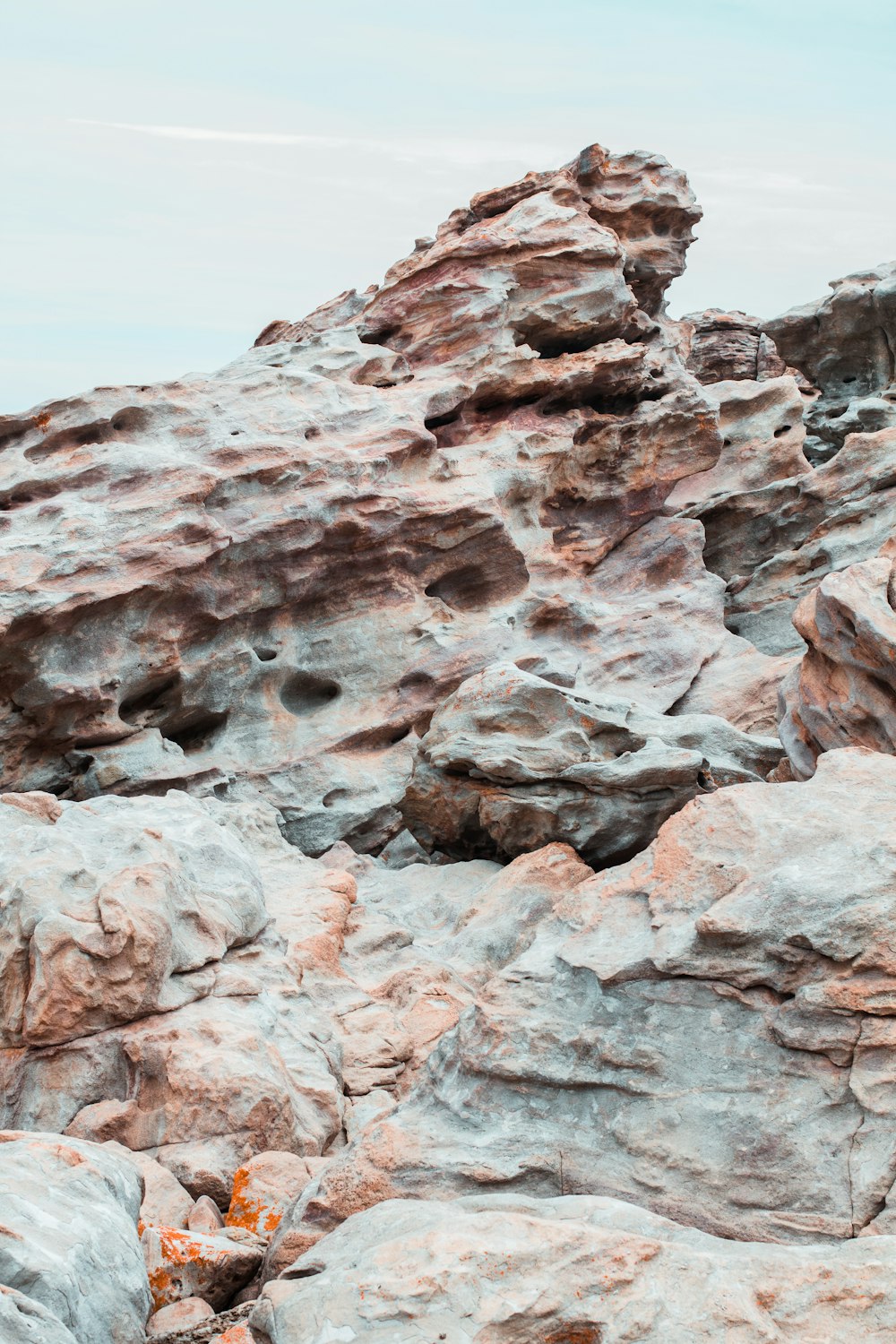 a bird is perched on a rock formation