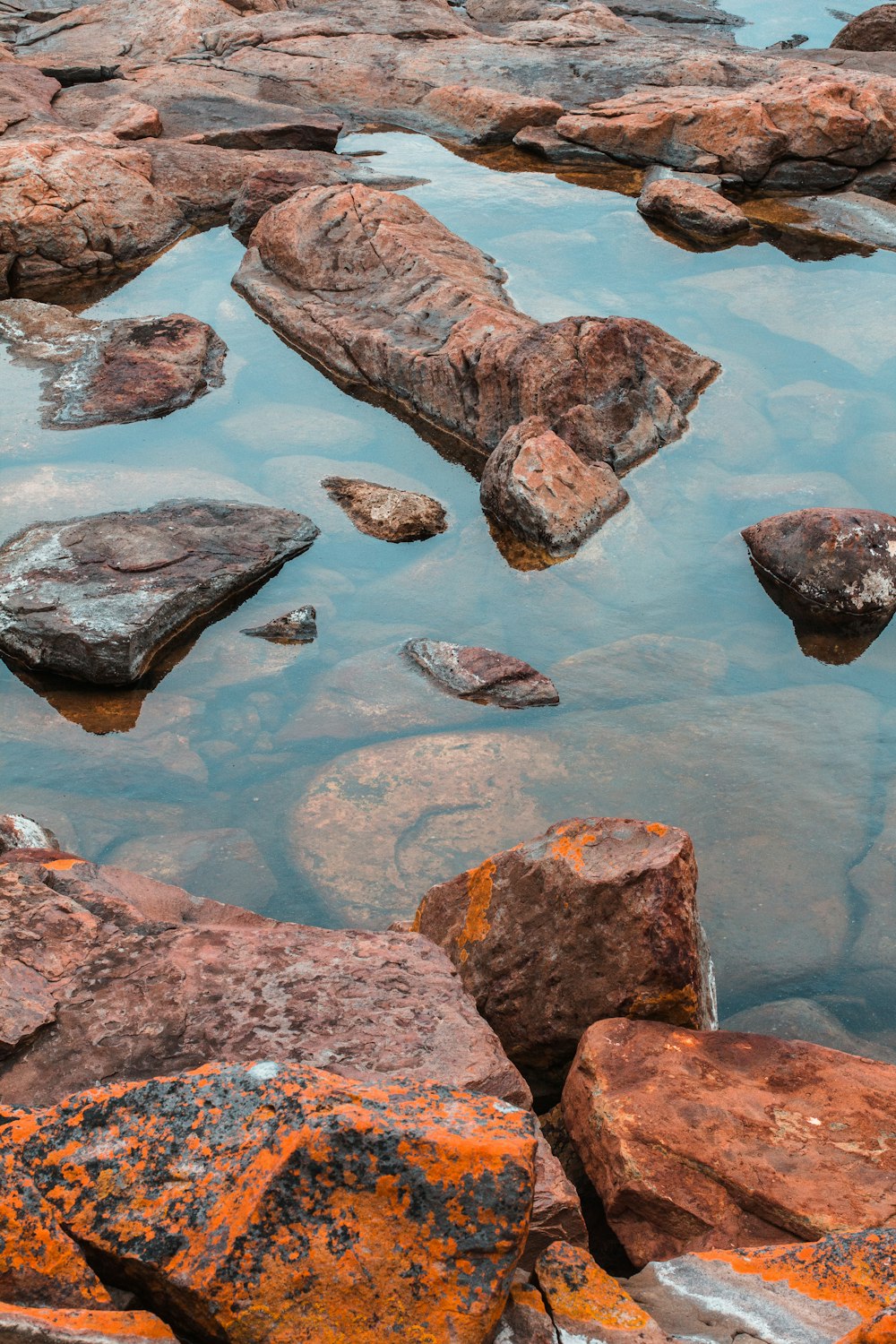 alcune rocce e acqua in uno specchio d'acqua