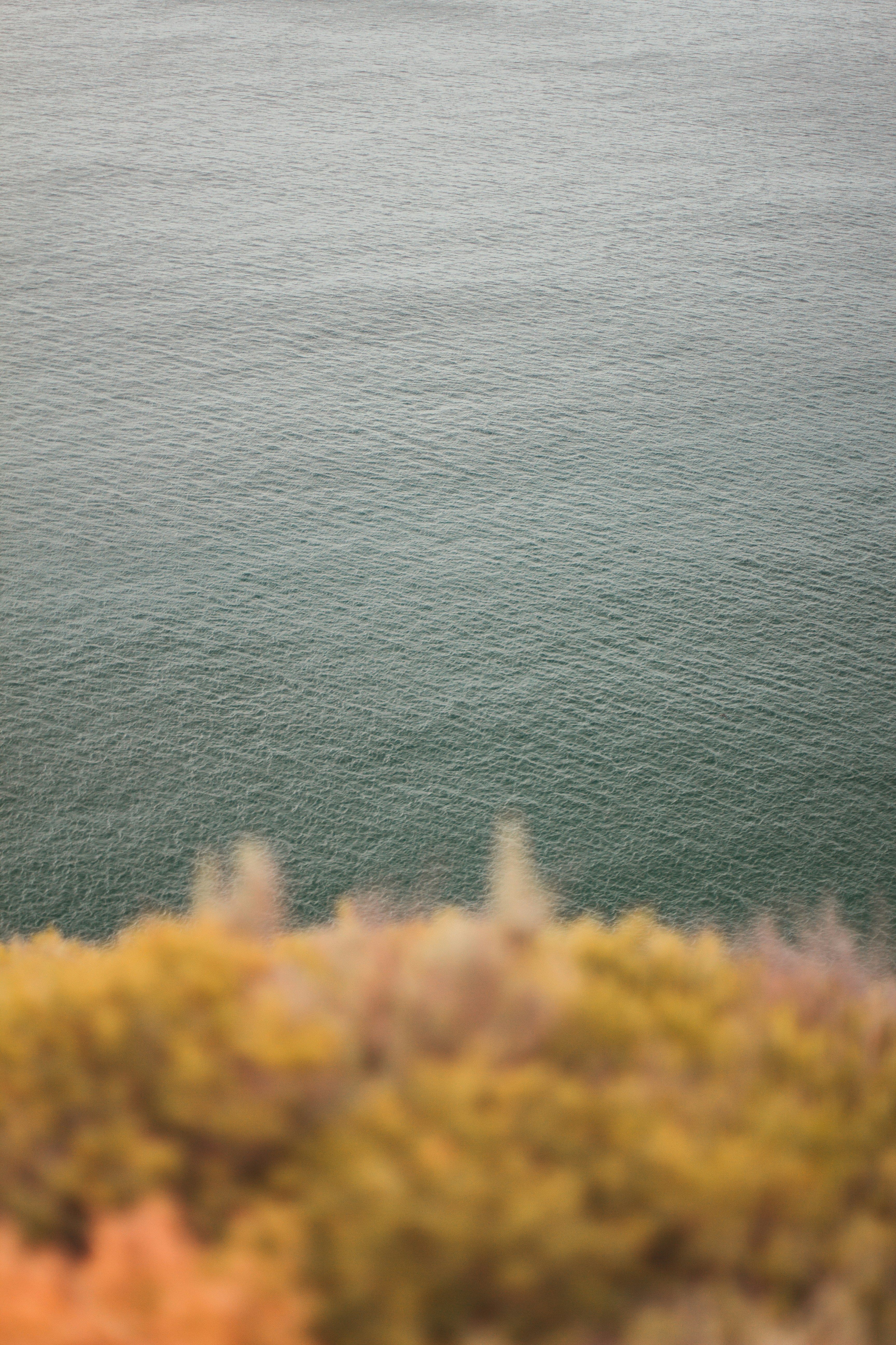 Photo by original_glb