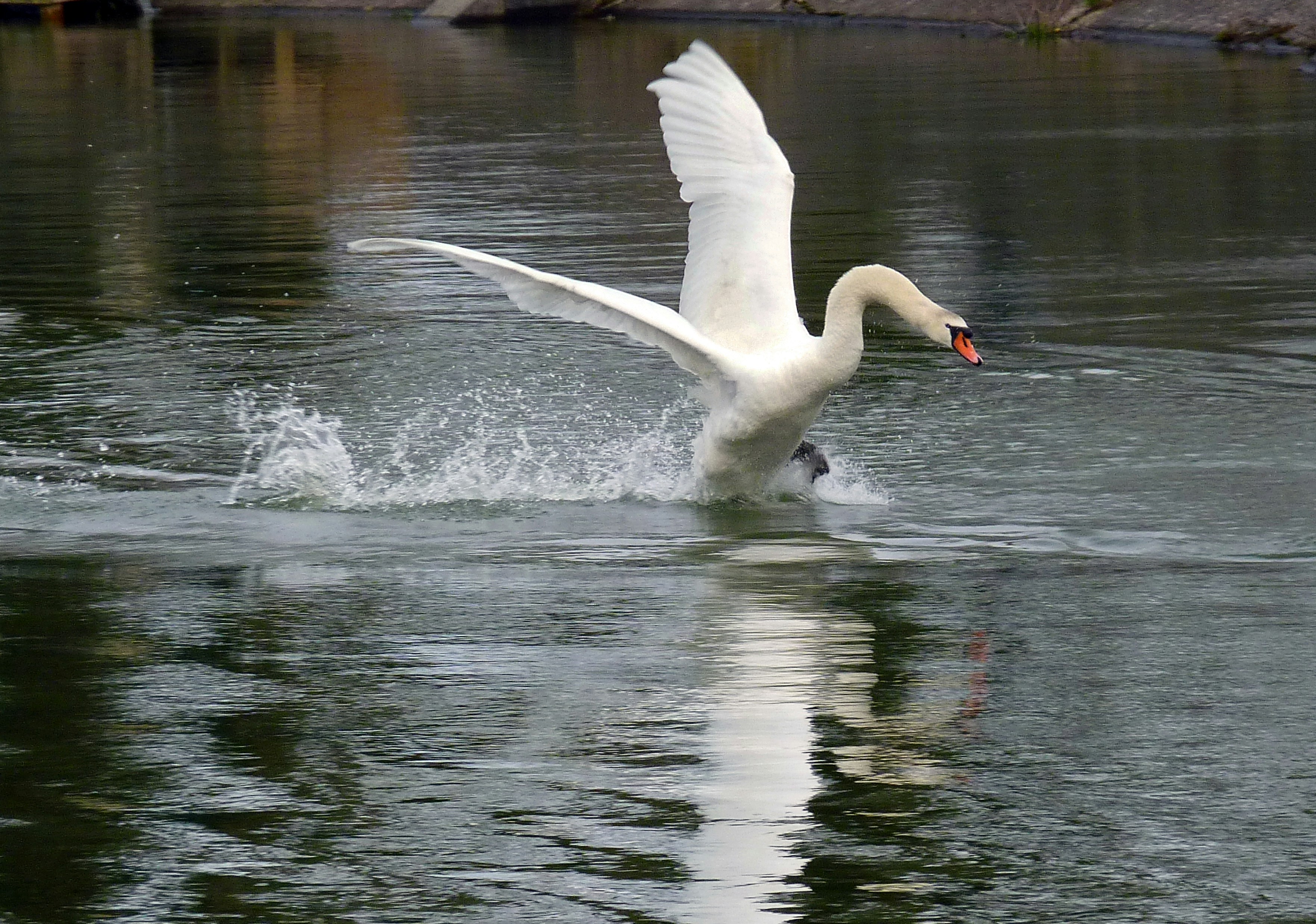 Photo by les_attridge