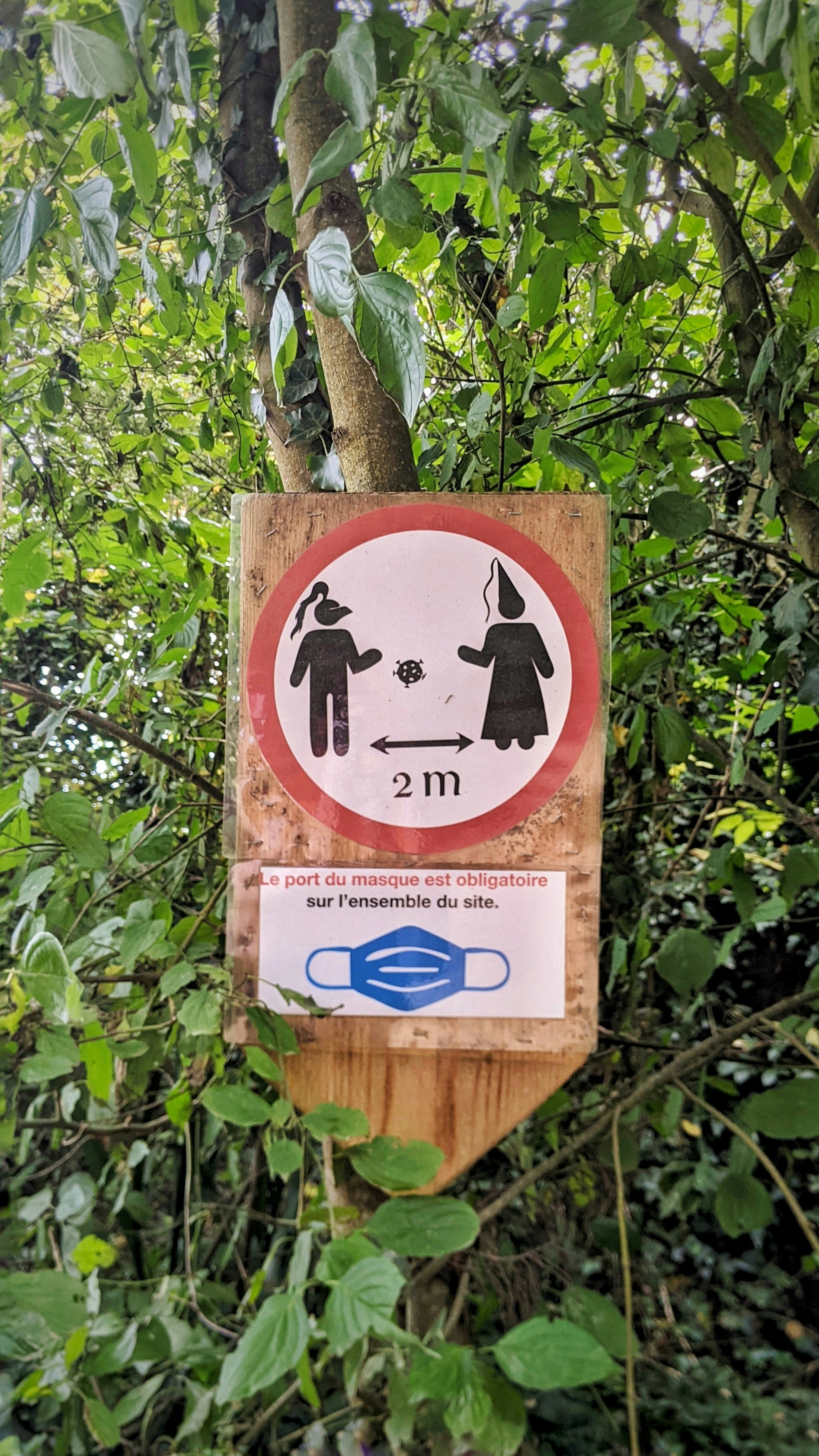 감정 거리두기 이미지 - 출처 unsplash