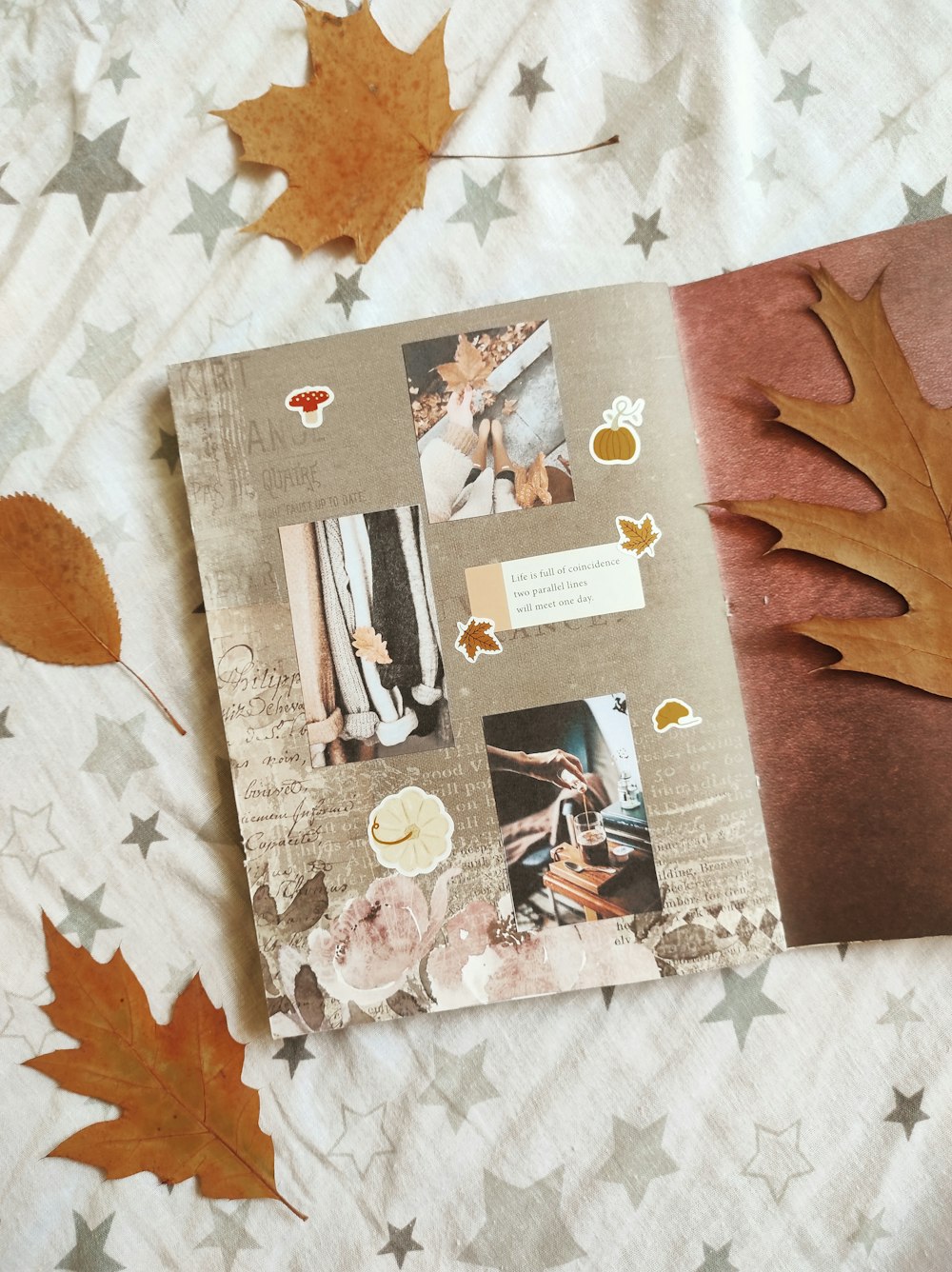 a picture of a leaf and a book on a bed