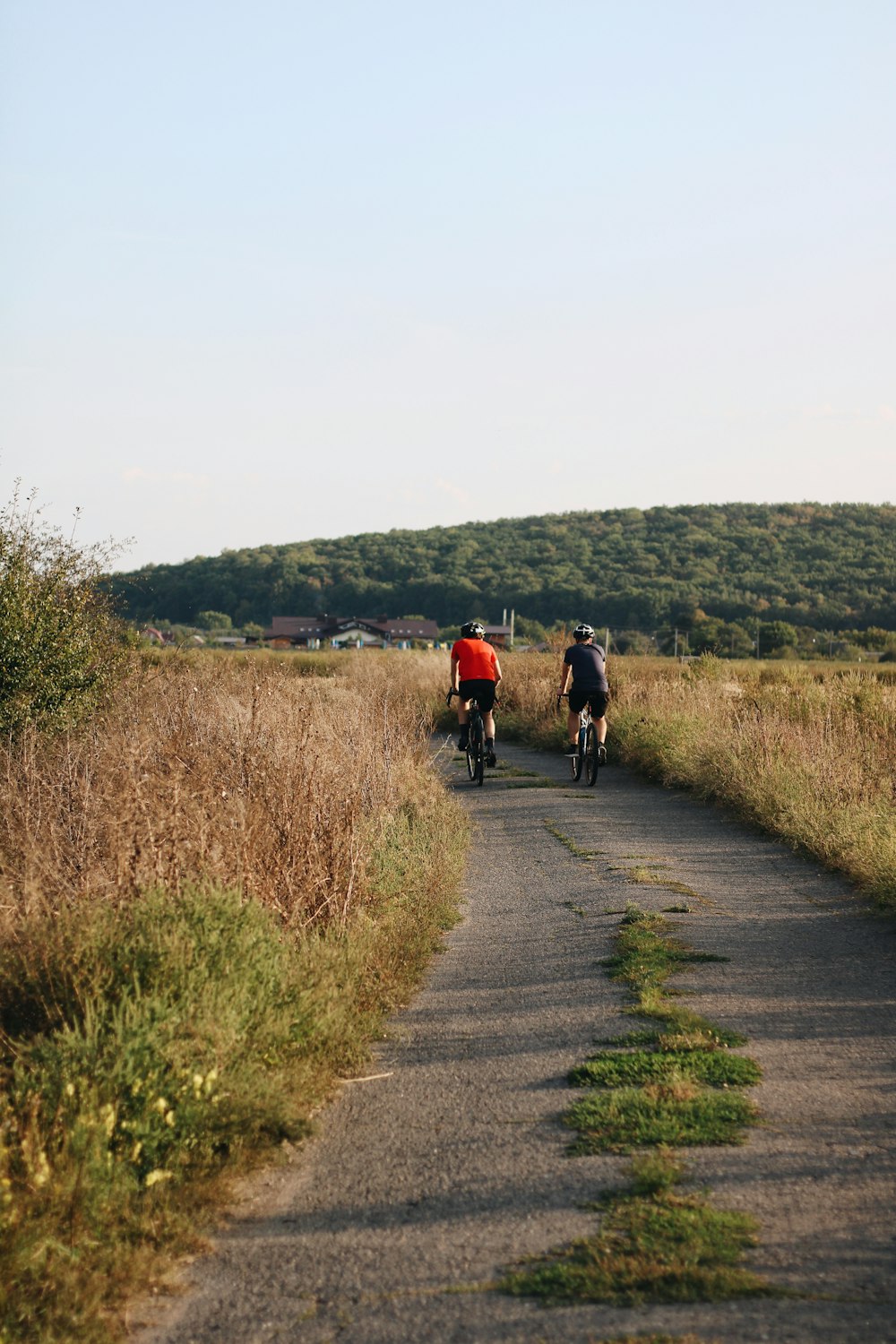 a couple of people riding bikes down a road