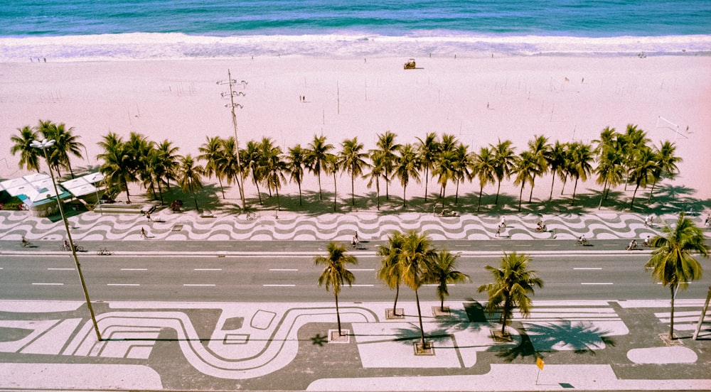 an aerial view of a beach with palm trees