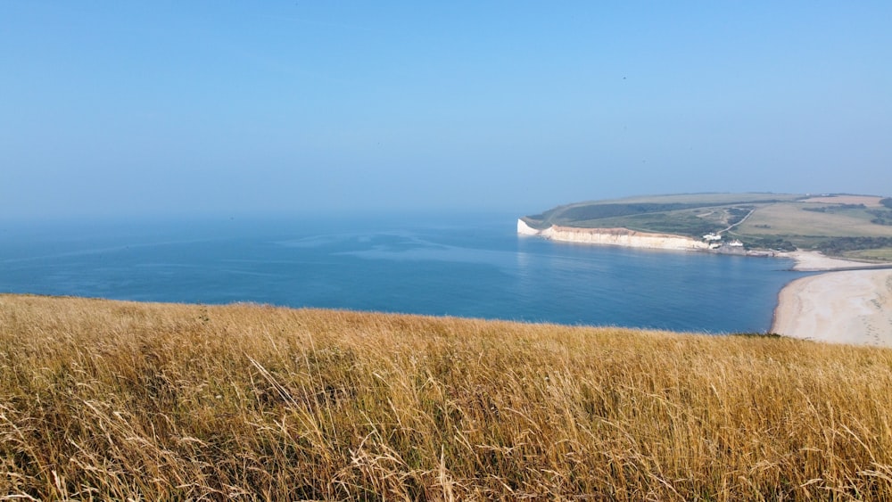 a grassy field with a view of the ocean