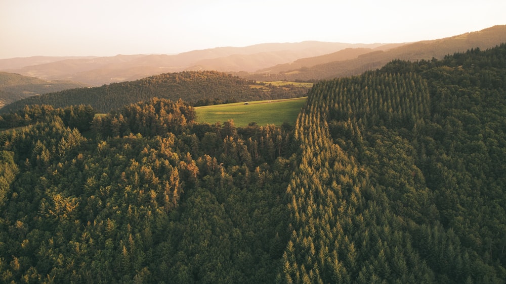 une vue aérienne d’une forêt avec des montagnes en arrière-plan