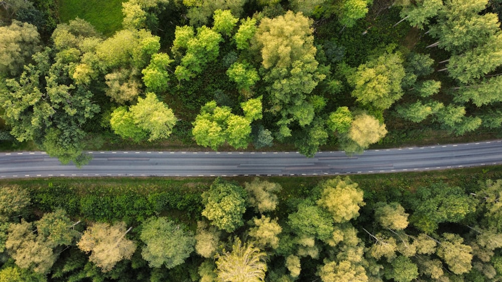 an aerial view of a road surrounded by trees