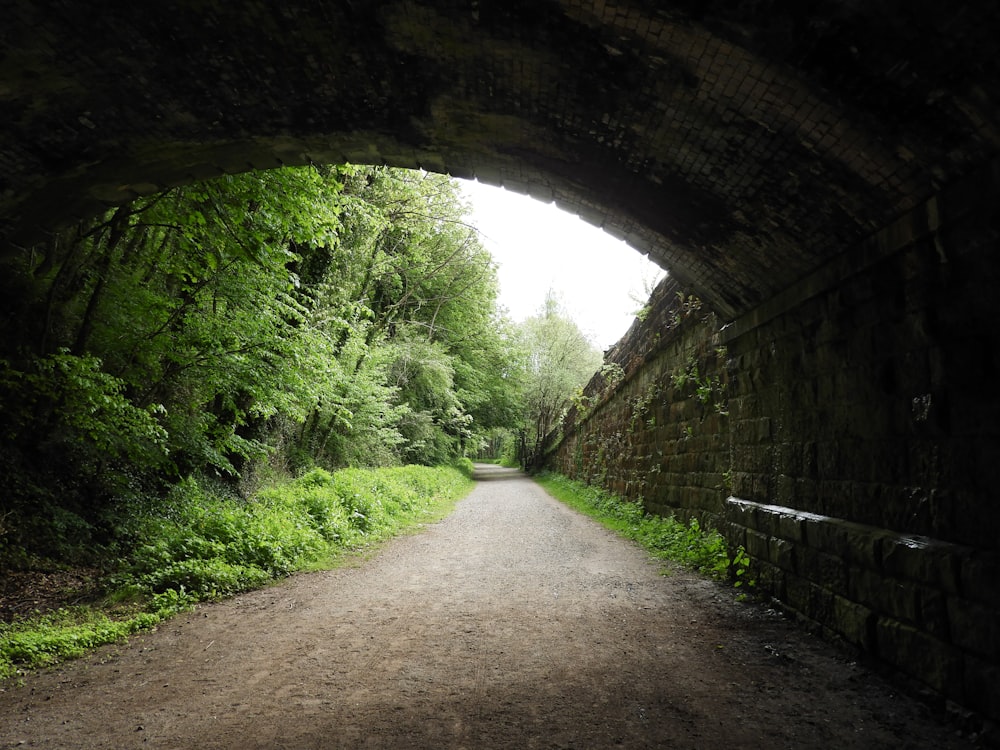 a tunnel in the middle of a dirt road