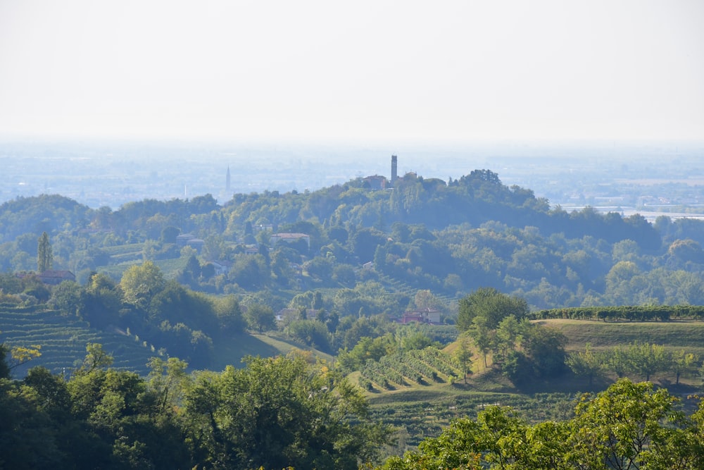 a view of a hill with trees and a tower in the distance