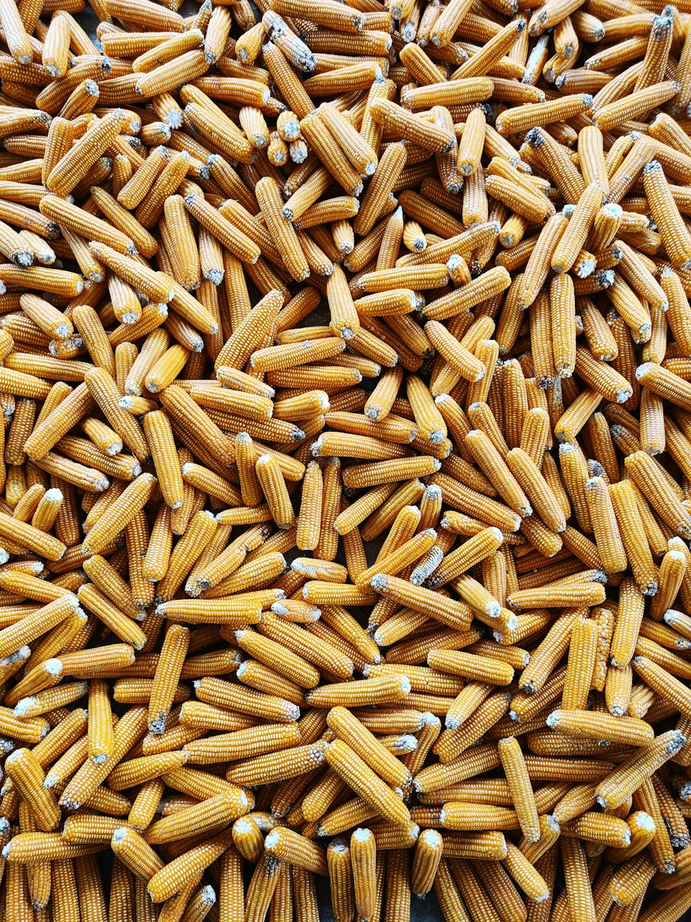 a large pile of corn is shown in this image