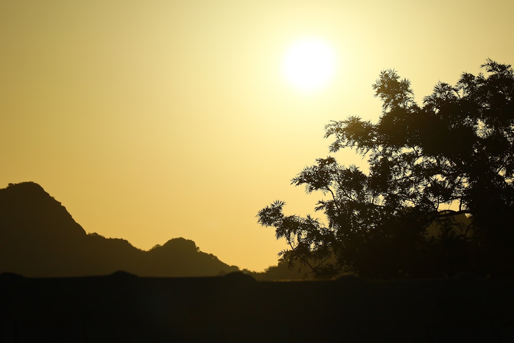 the sun is setting over the mountains and trees