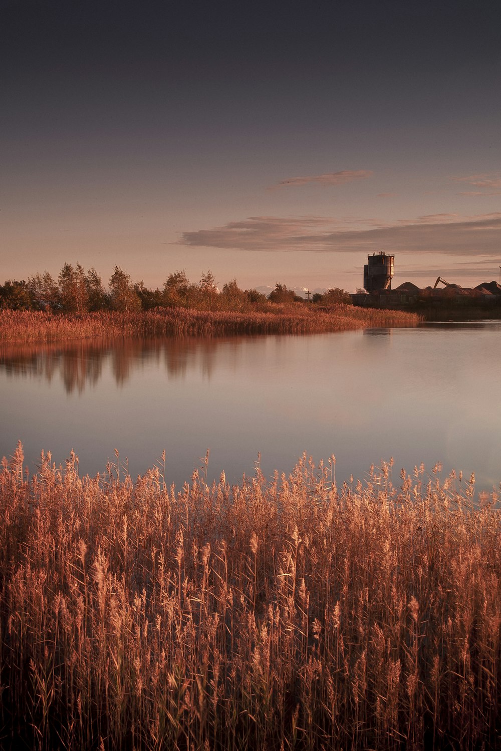 a large body of water surrounded by tall grass