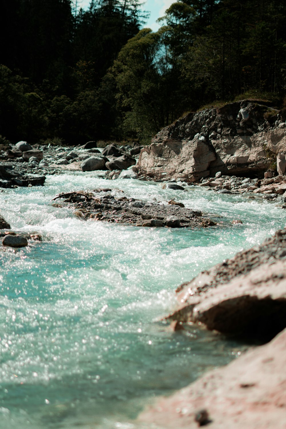 a river running through a lush green forest