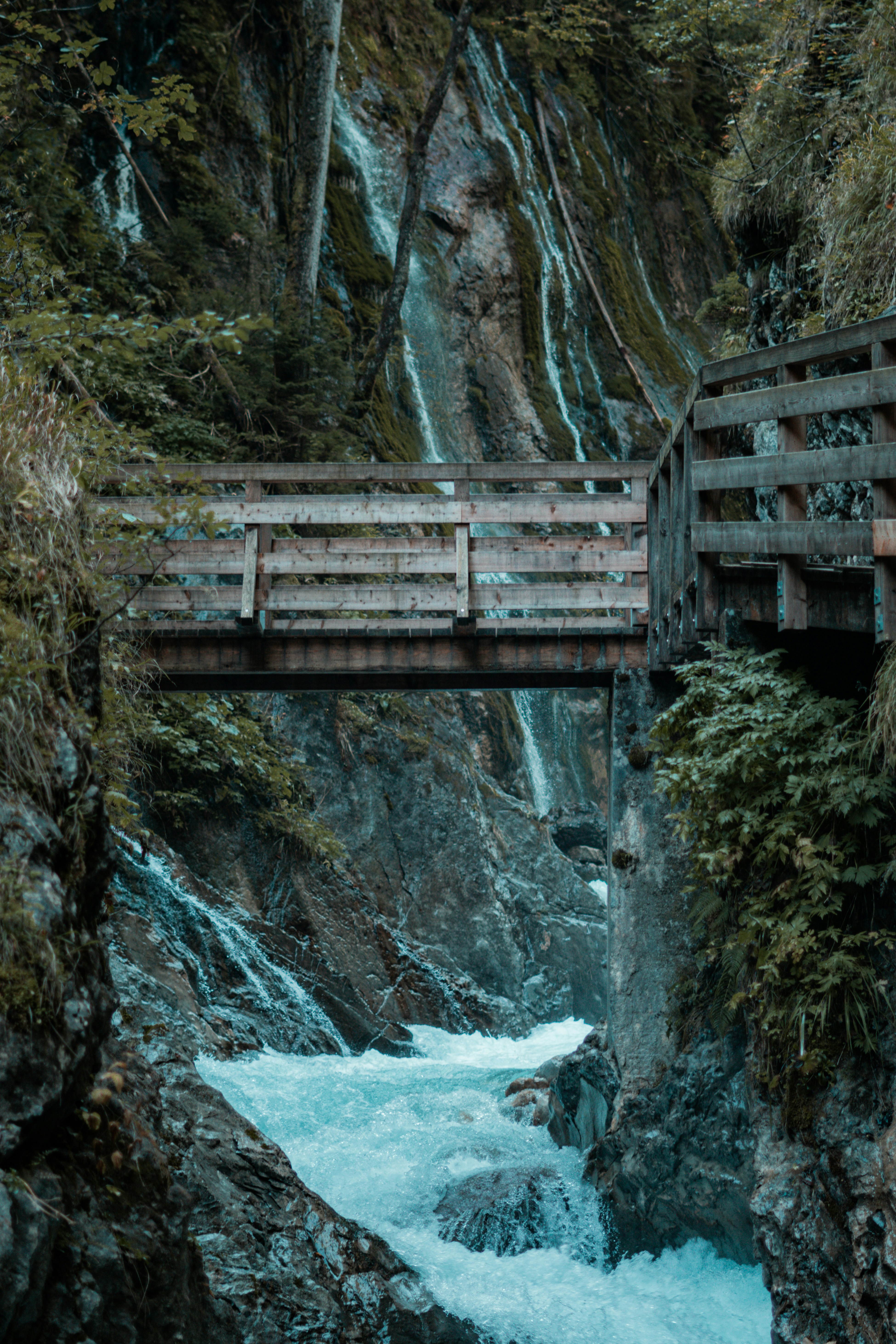 Photo by fanjatastisch