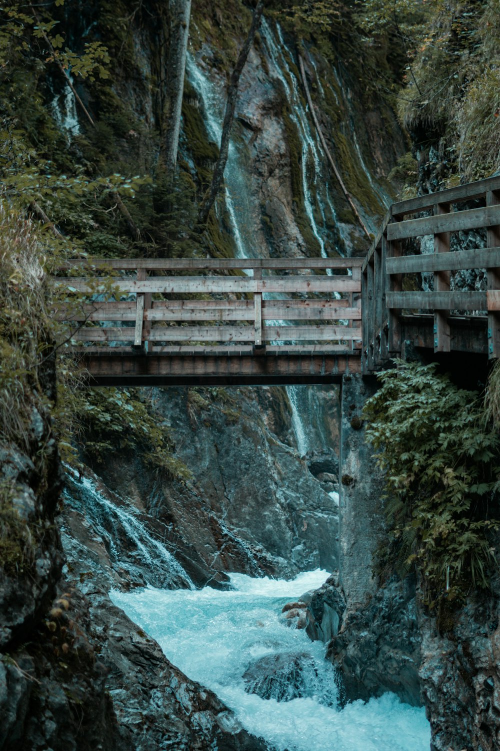 a wooden bridge over a river next to a forest